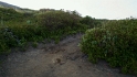 Ascesa al vulcano 5